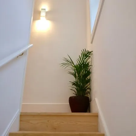 D&s - Loureiro 67 * 포르투