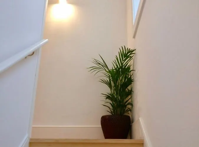 D&s - Loureiro 67 * Porto